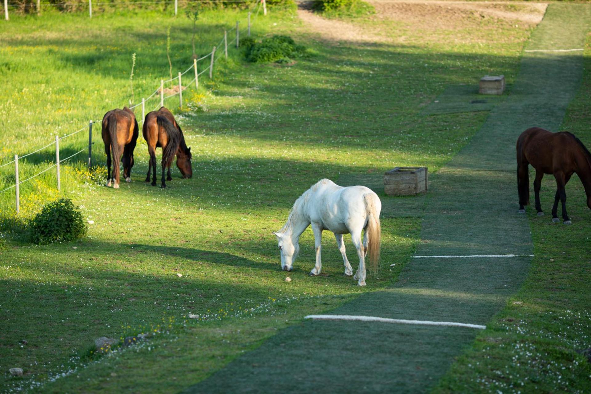 Domaine De Chantemerle B'Nb Marsac  ภายนอก รูปภาพ