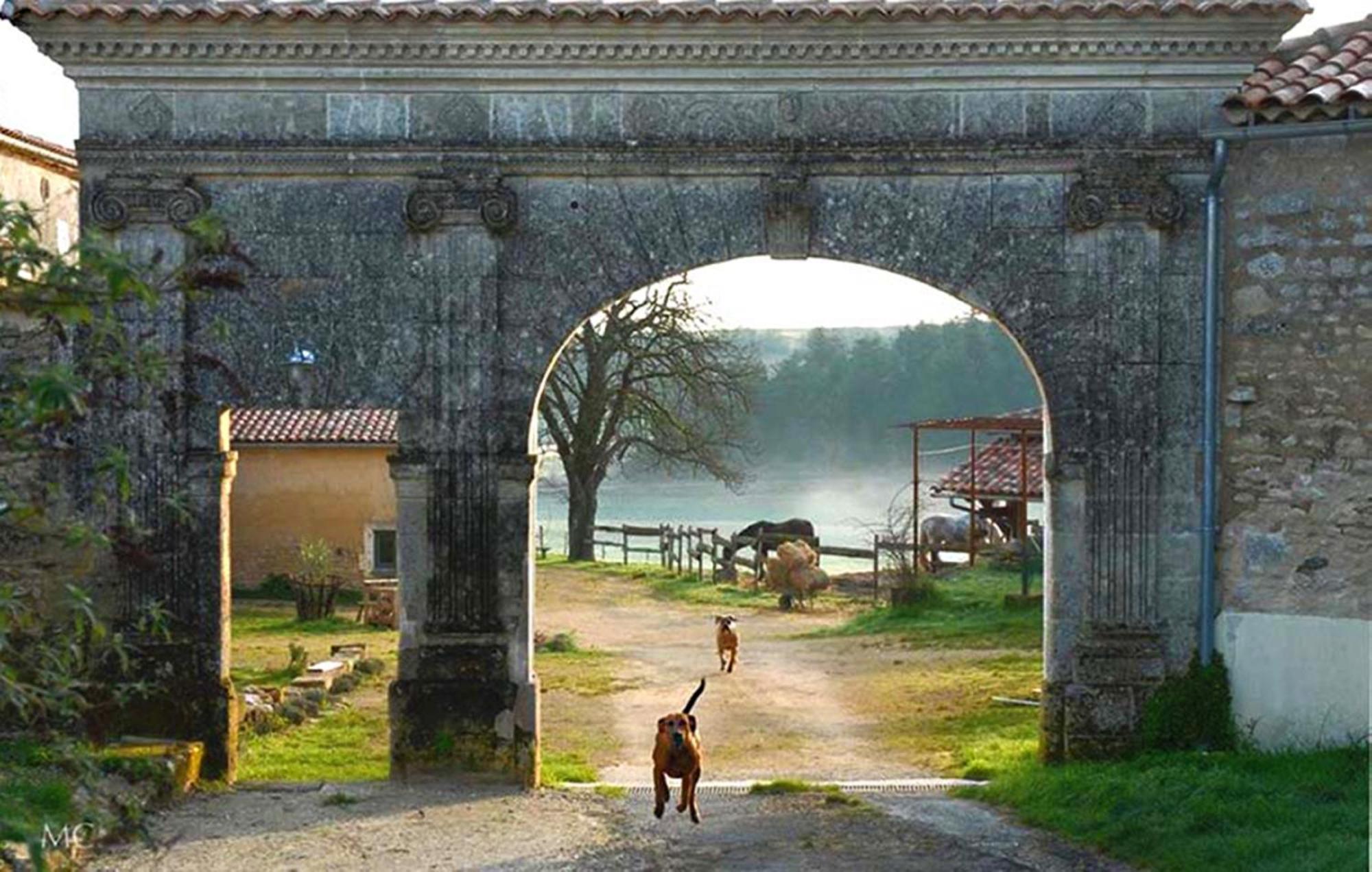 Domaine De Chantemerle B'Nb Marsac  ภายนอก รูปภาพ